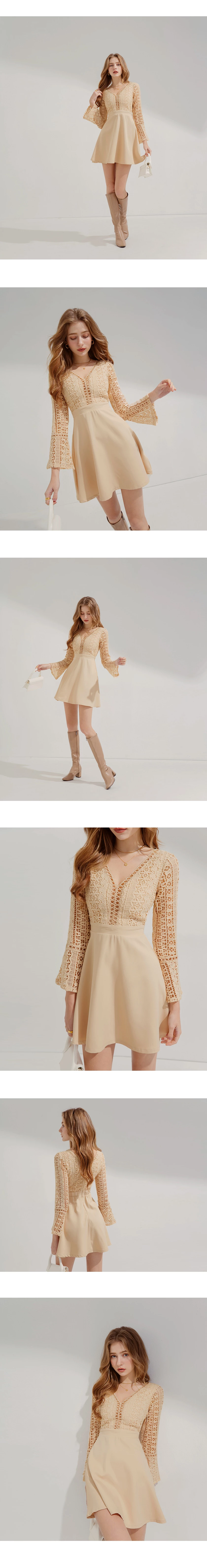V-Neck Translucent Lace Wide Sleeve Mini Dress V-Neck Translucent Lace Wide Sleeve Mini Dress