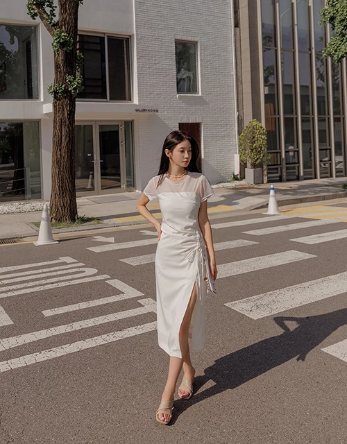 Sheer Panel Slit Long Dress