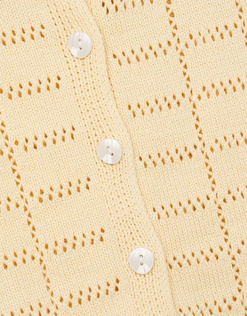 Eyelet Knit Collared Blouse Shirt
