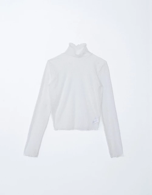Turtleneck Sheer Ruffle Trim Top