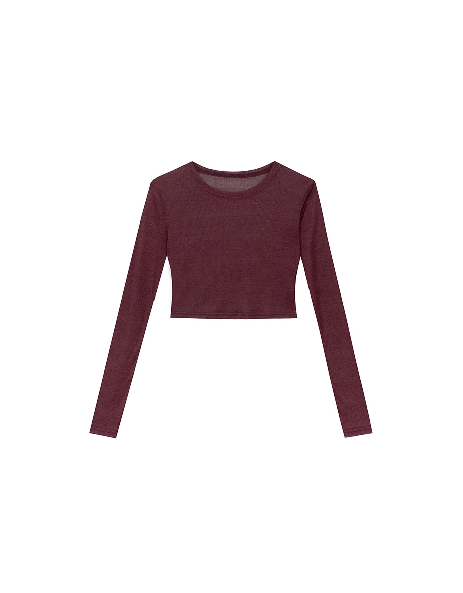 Sheer Knit Crop Long Sleeve Top