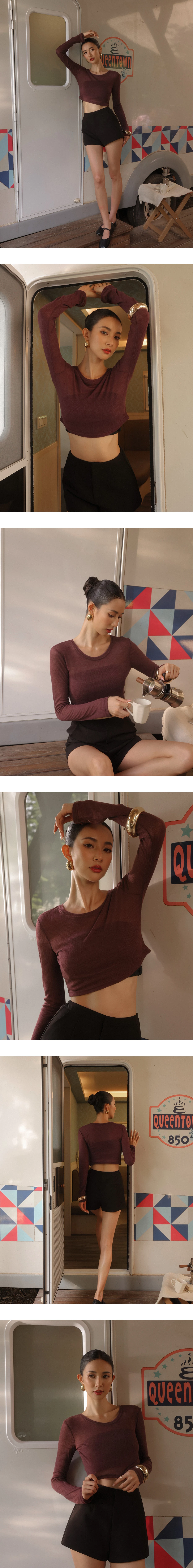 Sheer Knit Crop Long Sleeve Top