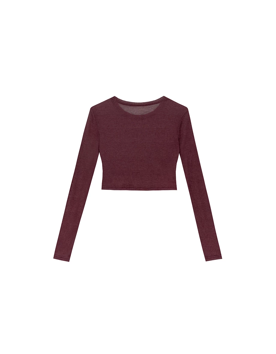 Sheer Knit Crop Long Sleeve Top