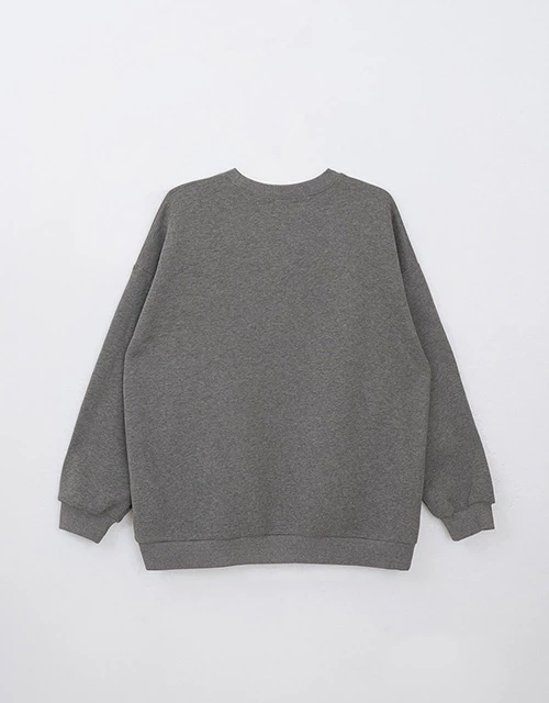 內刷毛CRUSH寬版大學TEE