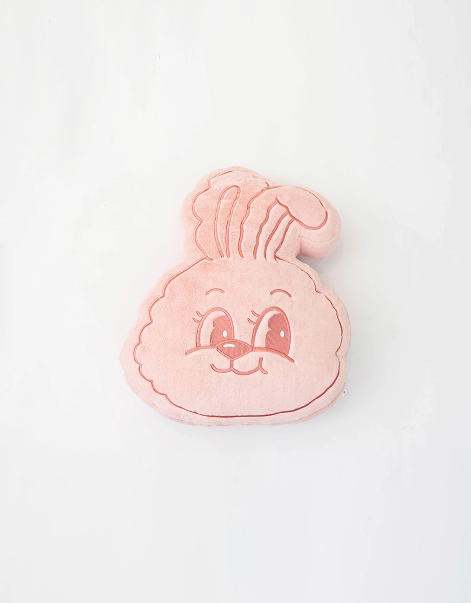 【Lyra & Toby】Embroidered Plush Decorative Pillow