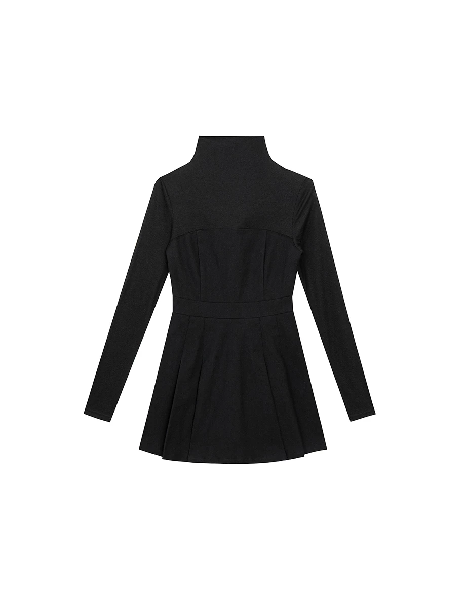 Turtleneck Long Sleeve Flared Hem Mini Dress