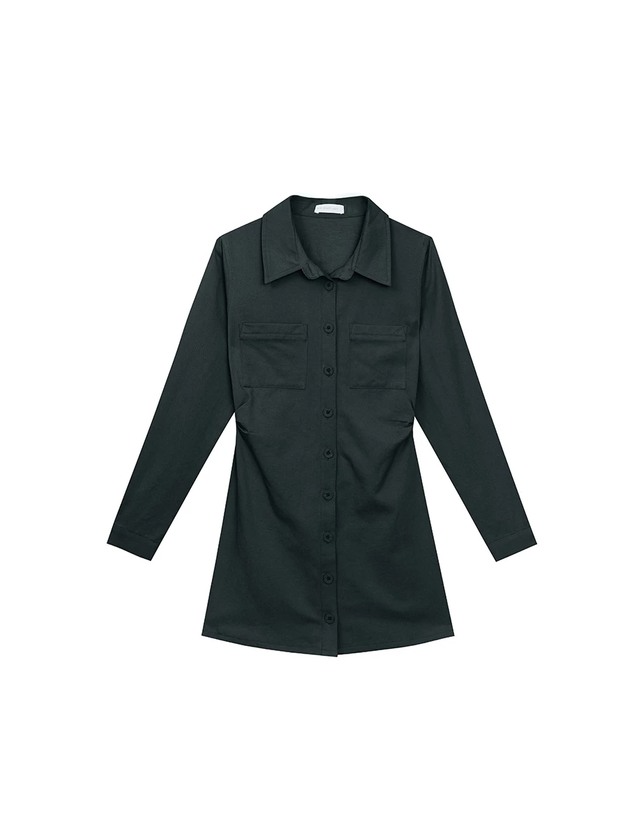 Fitted Waist Long Sleeve Button Down Shirt Dress