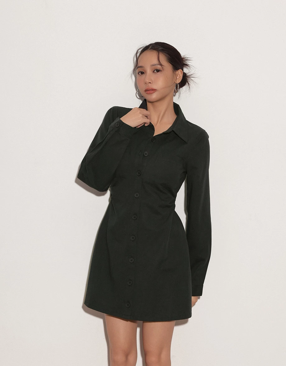 Fitted Waist Long Sleeve Button Down Shirt Dress