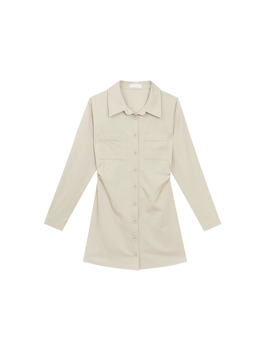 Fitted Waist Long Sleeve Button Down Shirt Dress