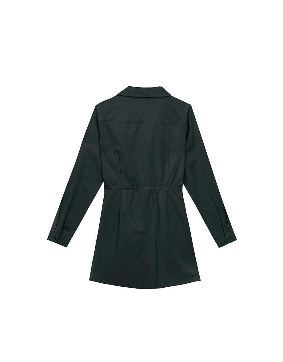 Fitted Waist Long Sleeve Button Down Shirt Dress