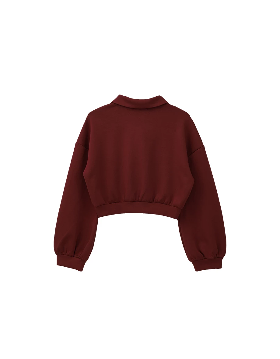 Polo Collar Long Sleeve Cropped Sweatshirt Polo Collar Long Sleeve Cropped Sweatshirt