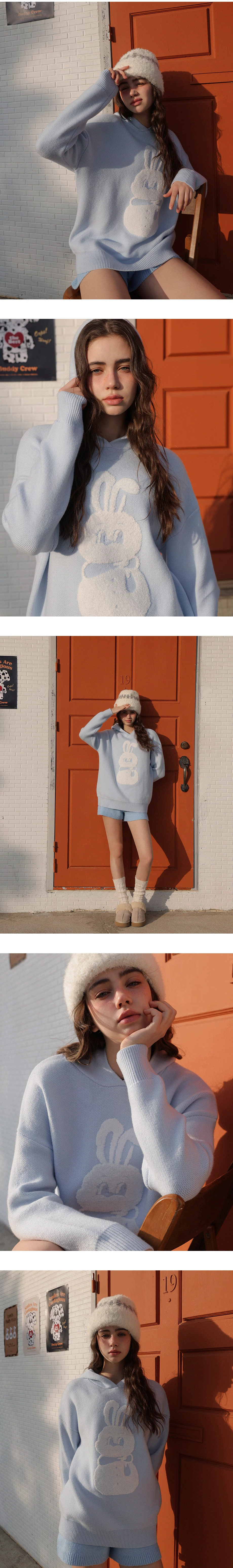 【Lyra & Toby】Graphic Hooded Knit Pullover Sweater 【Lyra & Toby】Graphic Hooded Knit Pullover Sweater