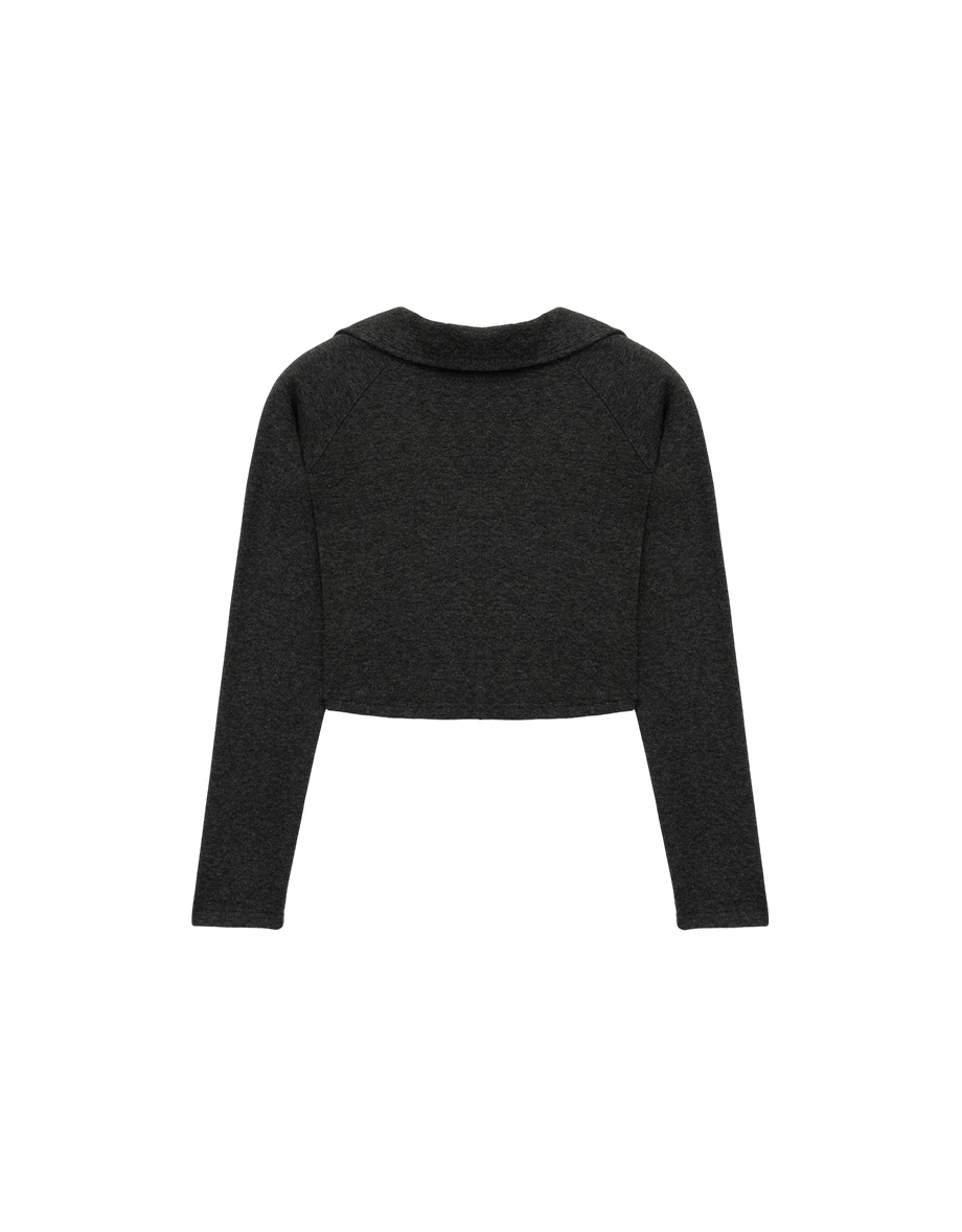 Collared V Neck Fitted Long Sleeve Crop Top