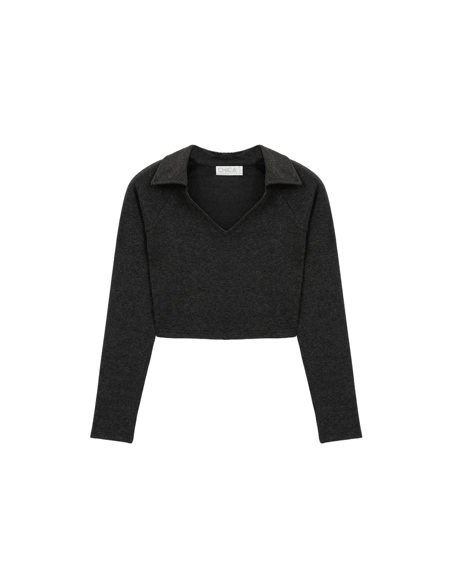 Collared V Neck Fitted Long Sleeve Crop Top