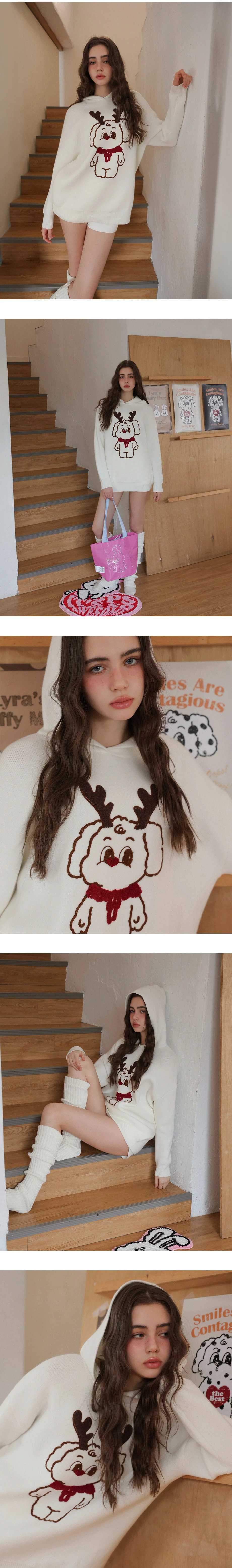 【Lyra & Toby】Graphic Hooded Knit Pullover Sweater