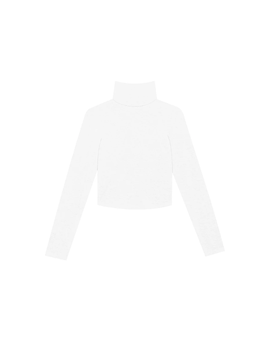 Heat Tech Plain Turtleneck Long Sleeve Cropped Top