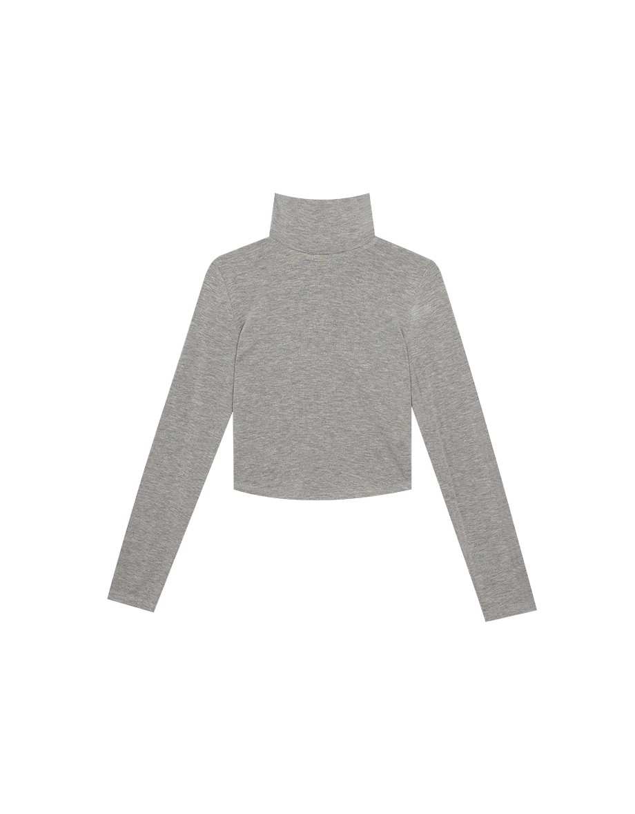 Heat Tech Plain Turtleneck Long Sleeve Cropped Top