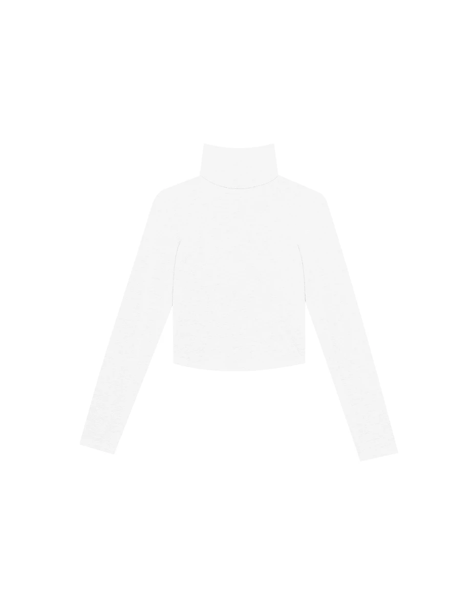 Heat Tech Plain Turtleneck Long Sleeve Cropped Top