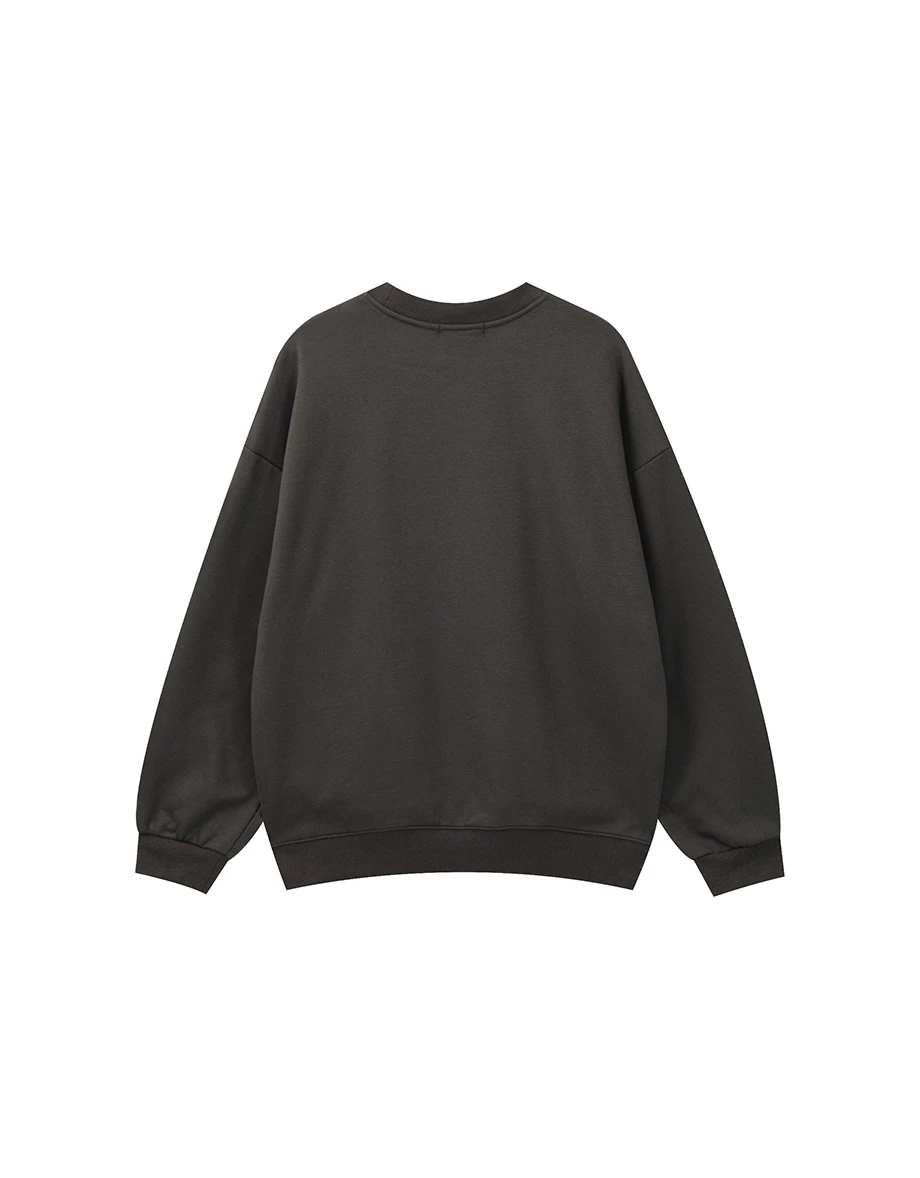 【DINOTAENG】Embroidered Sweatshirt With Inner Fleece 【DINOTAENG】Embroidered Sweatshirt With Inner Fleece