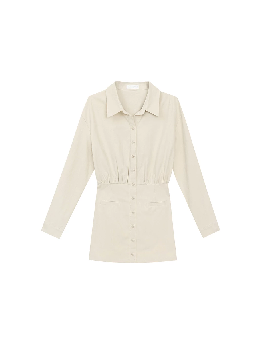Waist Cinched Button Front Mini Shirt Dress