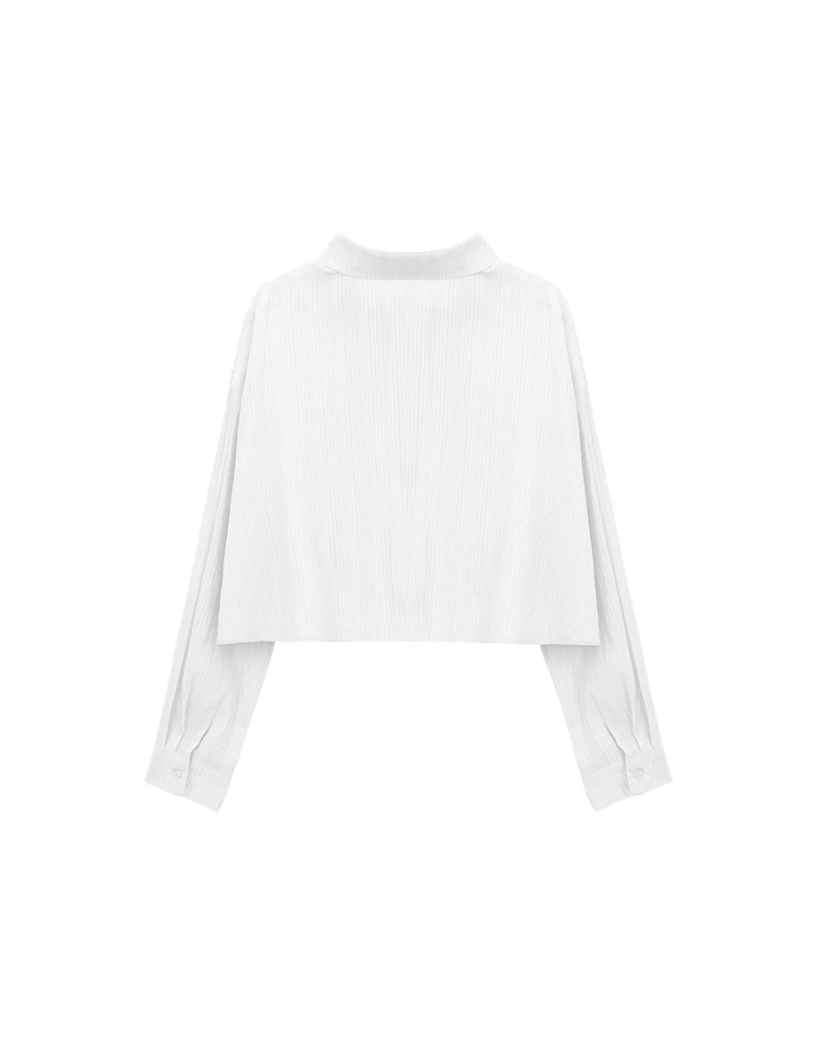 翻領長袖條紋紋理短版襯衫