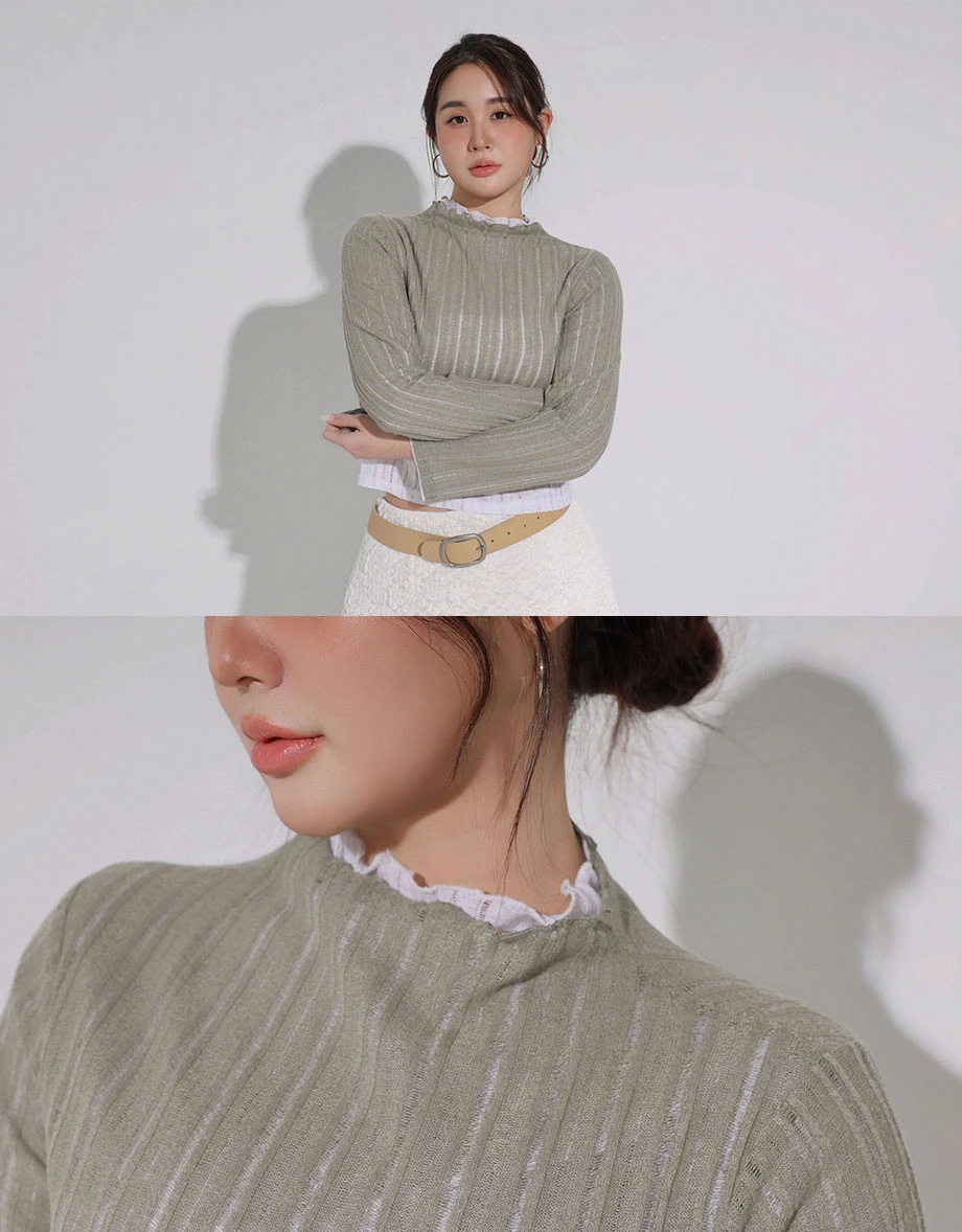 Turtleneck  Sheer Openwork Stripe Long Sleeve Cropped Knit Top