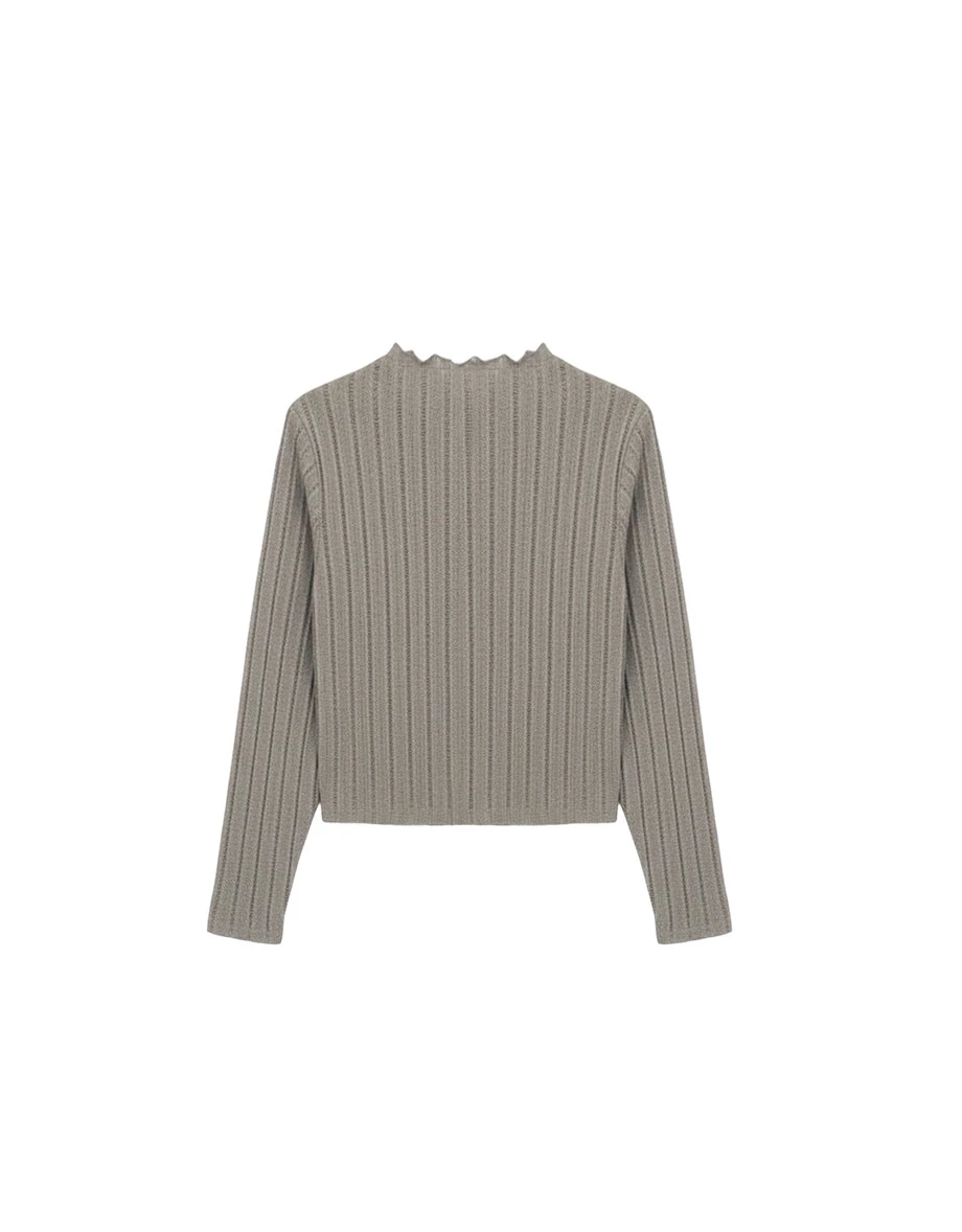 Turtleneck  Sheer Openwork Stripe Long Sleeve Cropped Knit Top