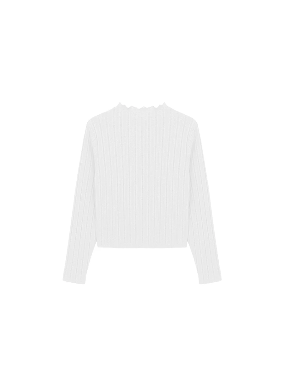 Turtleneck  Sheer Openwork Stripe Long Sleeve Cropped Knit Top