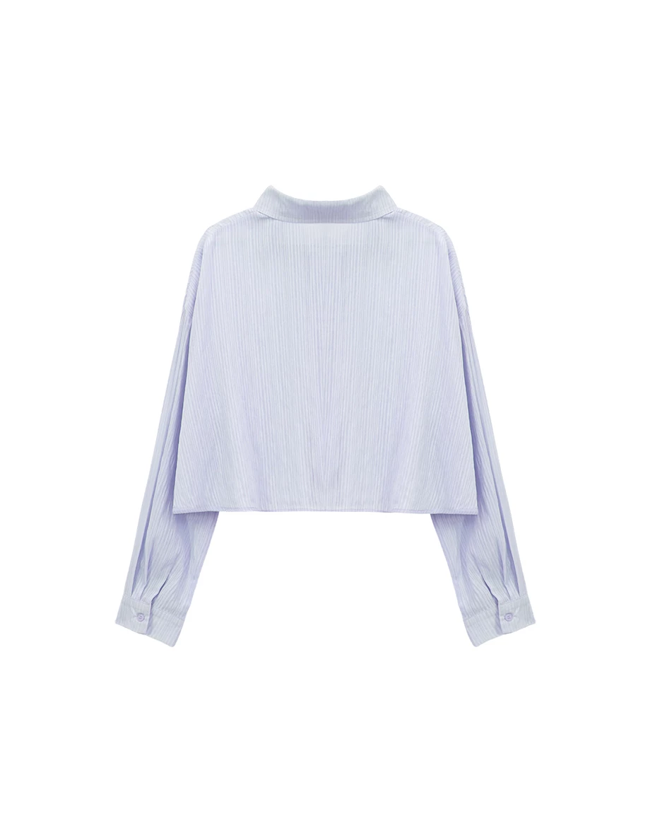 翻領長袖條紋紋理短版襯衫