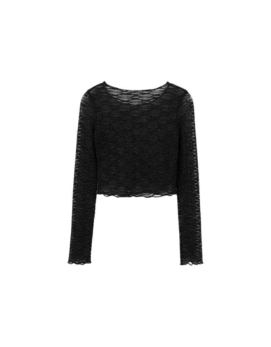 Floral Embroidered Lace Sheer Boat Neck Long Sleeve Top Floral Embroidered Lace Sheer Boat Neck Long Sleeve Top