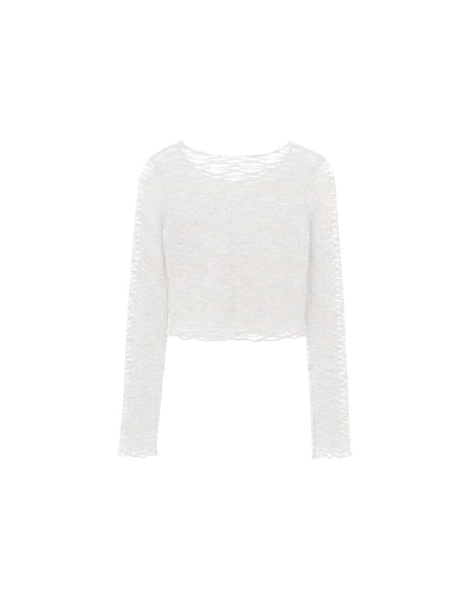 Floral Embroidered Lace Sheer Boat Neck Long Sleeve Top Floral Embroidered Lace Sheer Boat Neck Long Sleeve Top