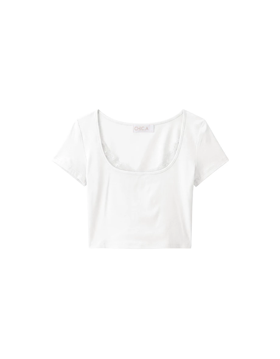Lace Trim Detail Scoop Neck Short Sleeve Crop Top