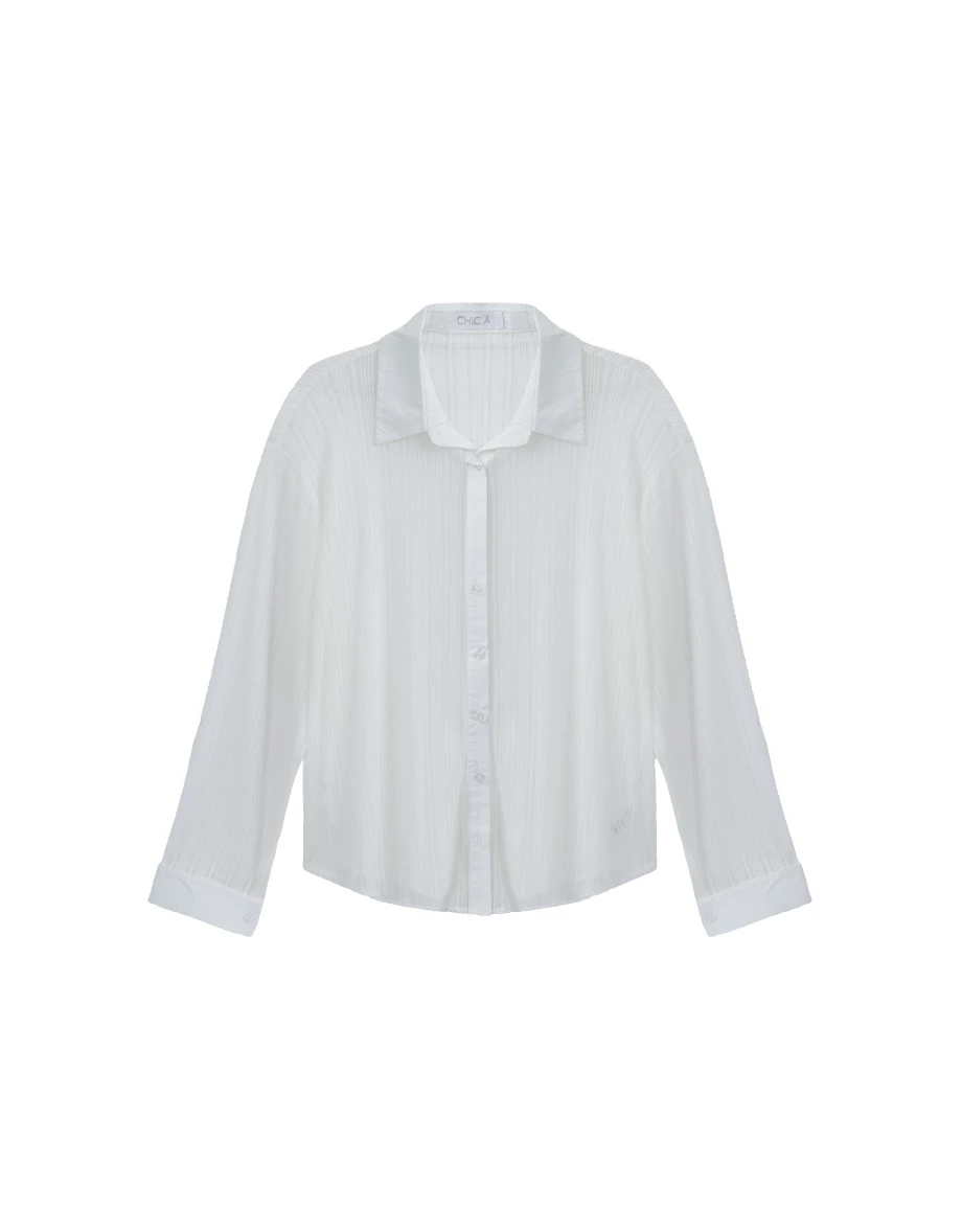 Sheer Stripe Button Up Collared Shirt Blouse