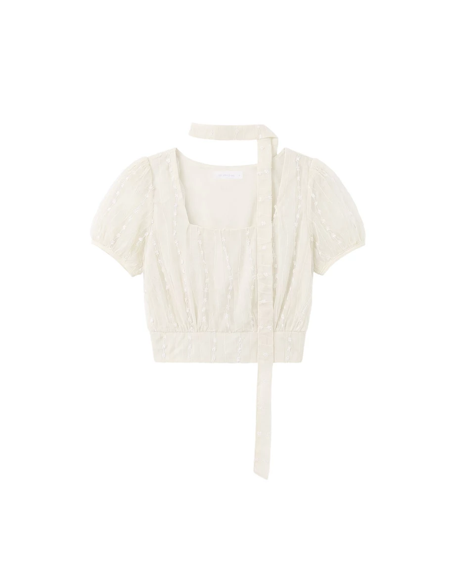 Square Neck Sheer Embroidered Mesh Puff Sleeve Crop Top (with Scarf)