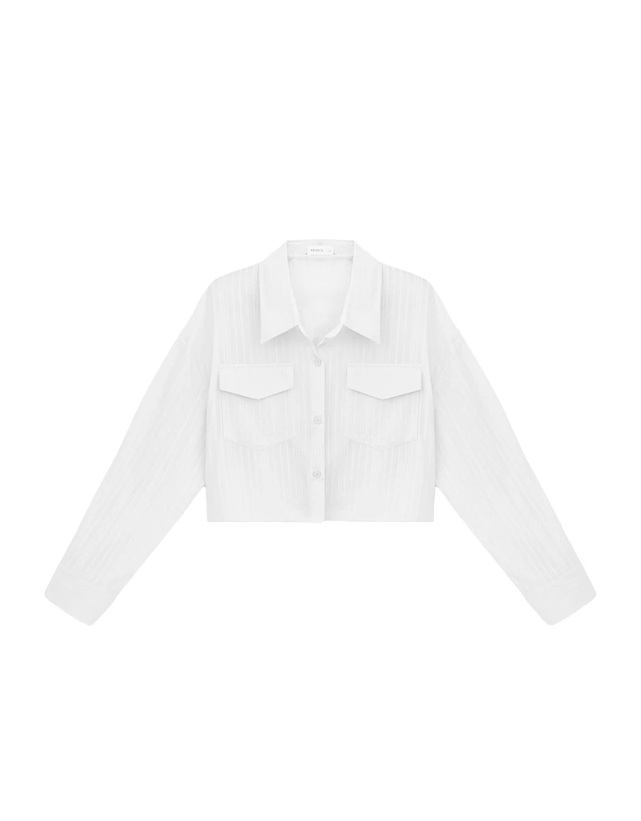Double Pocket Sheer Embroidered Stripe Cropped Shirt Blouse Double Pocket Sheer Embroidered Stripe Cropped Shirt Blouse