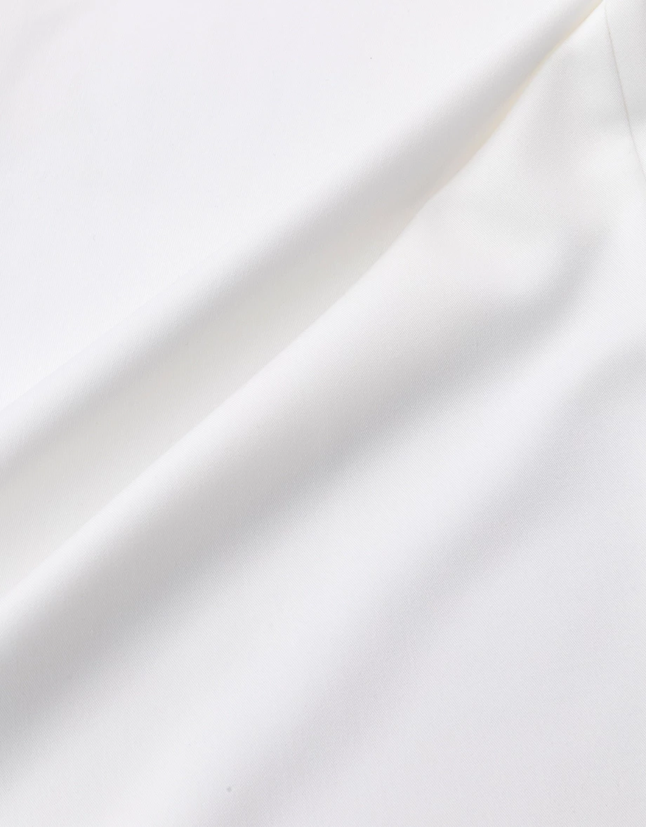 Basic Front Pleated Tailored Wide Leg Trousers Pants Basic Front Pleated Tailored Wide Leg Trousers Pants