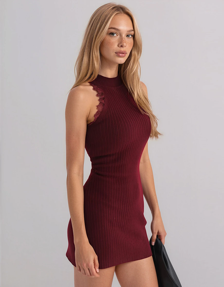 Lace Trim High Neck Sleeveless Ribbed Knit Padded Mini Dress Lace Trim High Neck Sleeveless Ribbed Knit Padded Mini Dress
