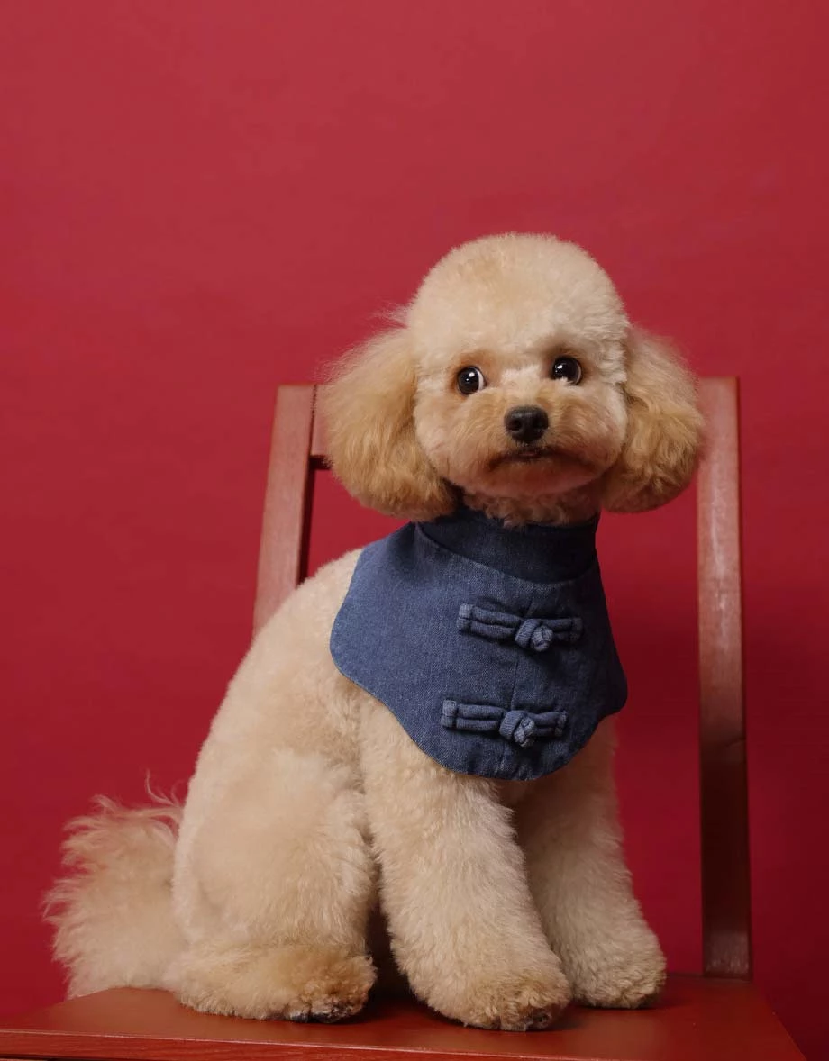 Denim Family CNY Pet Button Mandarin Collar Denim Jeans Bib ( Cat/ Dog/ Puppy Matching Item for Cheongsam Qipao Collection) Denim Family CNY Pet Button Mandarin Collar Denim Jeans Bib ( Cat/ Dog/ Puppy Matching Item for Cheongsam Qipao Collection)