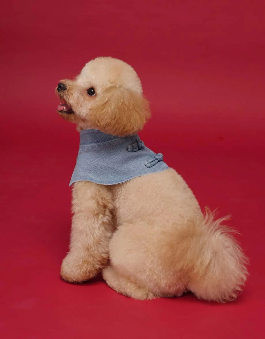 Denim Family CNY Pet Button Mandarin Collar Denim Jeans Bib ( Cat/ Dog/ Puppy Matching Item for Cheongsam Qipao Collection) Denim Family CNY Pet Button Mandarin Collar Denim Jeans Bib ( Cat/ Dog/ Puppy Matching Item for Cheongsam Qipao Collection)