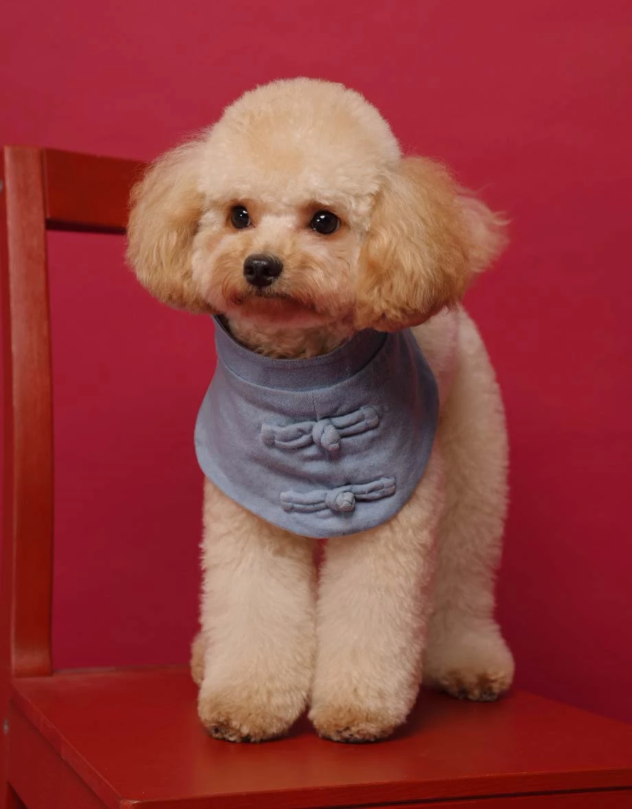 Denim Family CNY Pet Button Mandarin Collar Denim Jeans Bib ( Cat/ Dog/ Puppy Matching Item for Cheongsam Qipao Collection) Denim Family CNY Pet Button Mandarin Collar Denim Jeans Bib ( Cat/ Dog/ Puppy Matching Item for Cheongsam Qipao Collection)