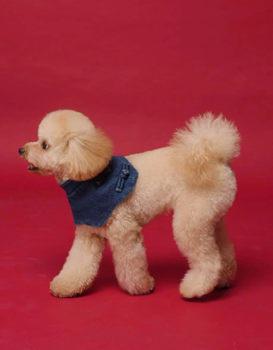 Denim Family CNY Pet Button Mandarin Collar Denim Jeans Bib ( Cat/ Dog/ Puppy Matching Item for Cheongsam Qipao Collection) Denim Family CNY Pet Button Mandarin Collar Denim Jeans Bib ( Cat/ Dog/ Puppy Matching Item for Cheongsam Qipao Collection)