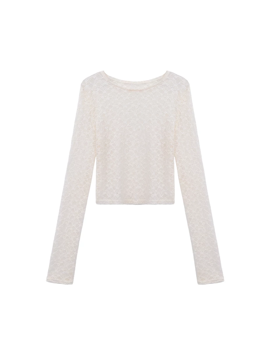 Floral Lace Sheer Panel Round Neck Cropped Long Sleeve Top Floral Lace Sheer Panel Round Neck Cropped Long Sleeve Top