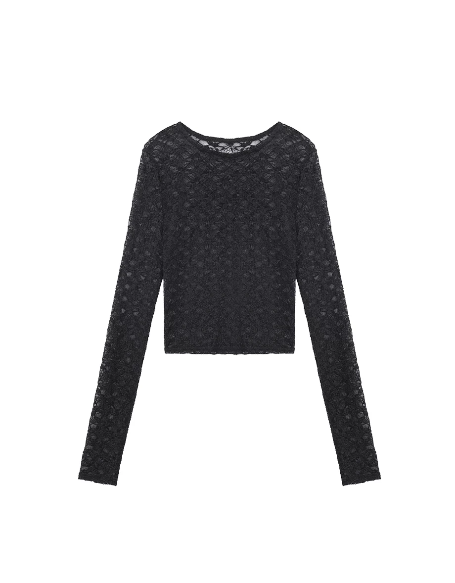 Floral Lace Sheer Panel Round Neck Cropped Long Sleeve Top Floral Lace Sheer Panel Round Neck Cropped Long Sleeve Top
